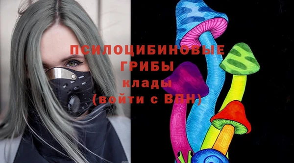 МДПВ Липки