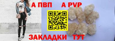 стафф Кингисепп