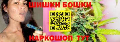 стафф Кингисепп