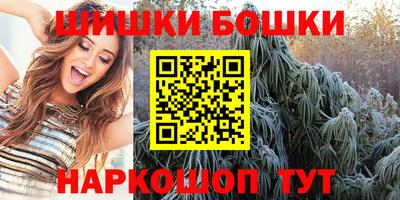 стафф Кингисепп