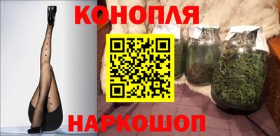 стафф Кингисепп
