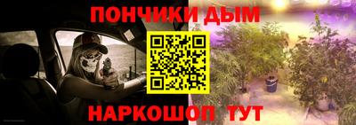 стафф Кингисепп