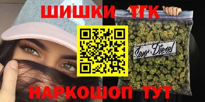 стафф Кингисепп