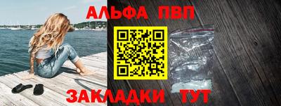 стафф Кингисепп