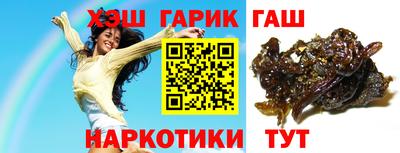 стафф Кингисепп