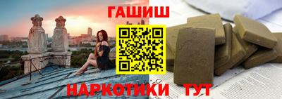стафф Кингисепп