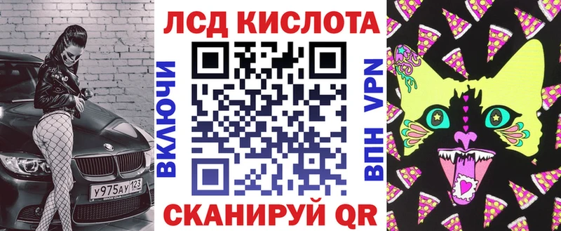 Марки N-bome 1500мкг  сколько стоит  KRAKEN   Новоалтайск 