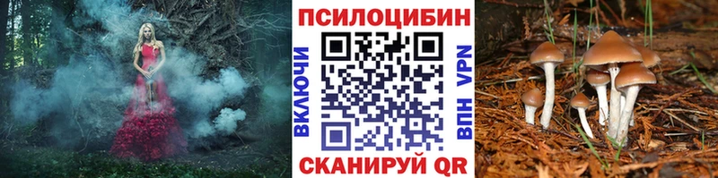 мега зеркало  где можно купить   Новоалтайск  Псилоцибиновые грибы Psilocybe 