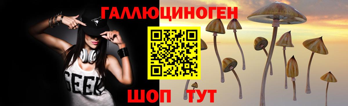 Псилоцибиновые грибы ЛСД  Новоалтайск  Галлюциногенные грибы MAGIC MUSHROOMS 