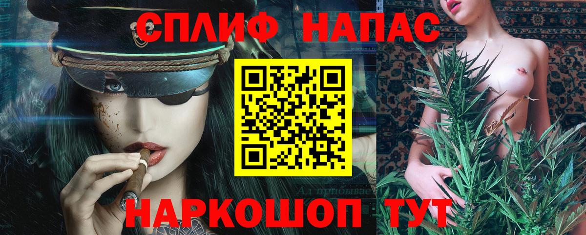 Каннабис гибрид Новоалтайск